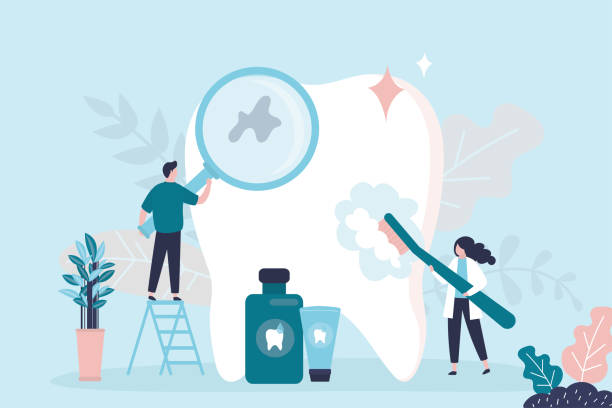 Best Traditional Braces  in Bothell West, WA
